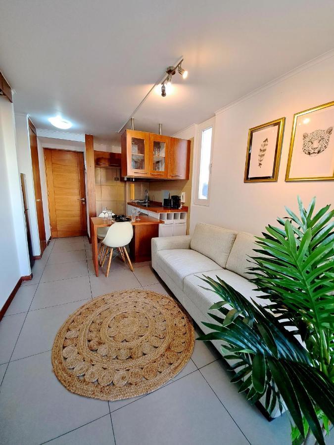 Centrico Y Comodo Departamento * Concepción